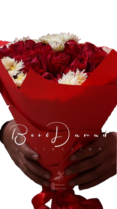 The Proposal